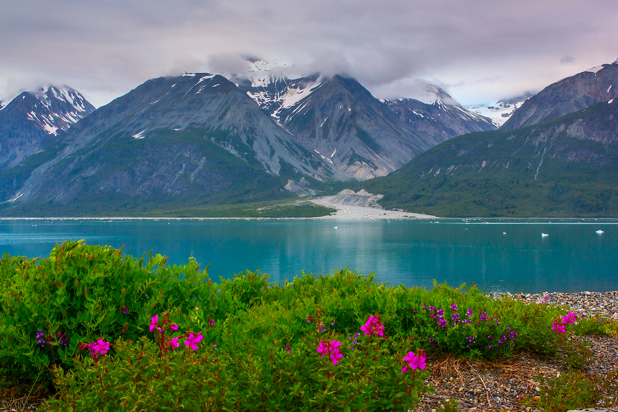 Glacier Bay National Park, Alaska