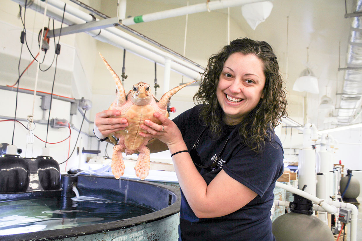 UGA student with sea turtle