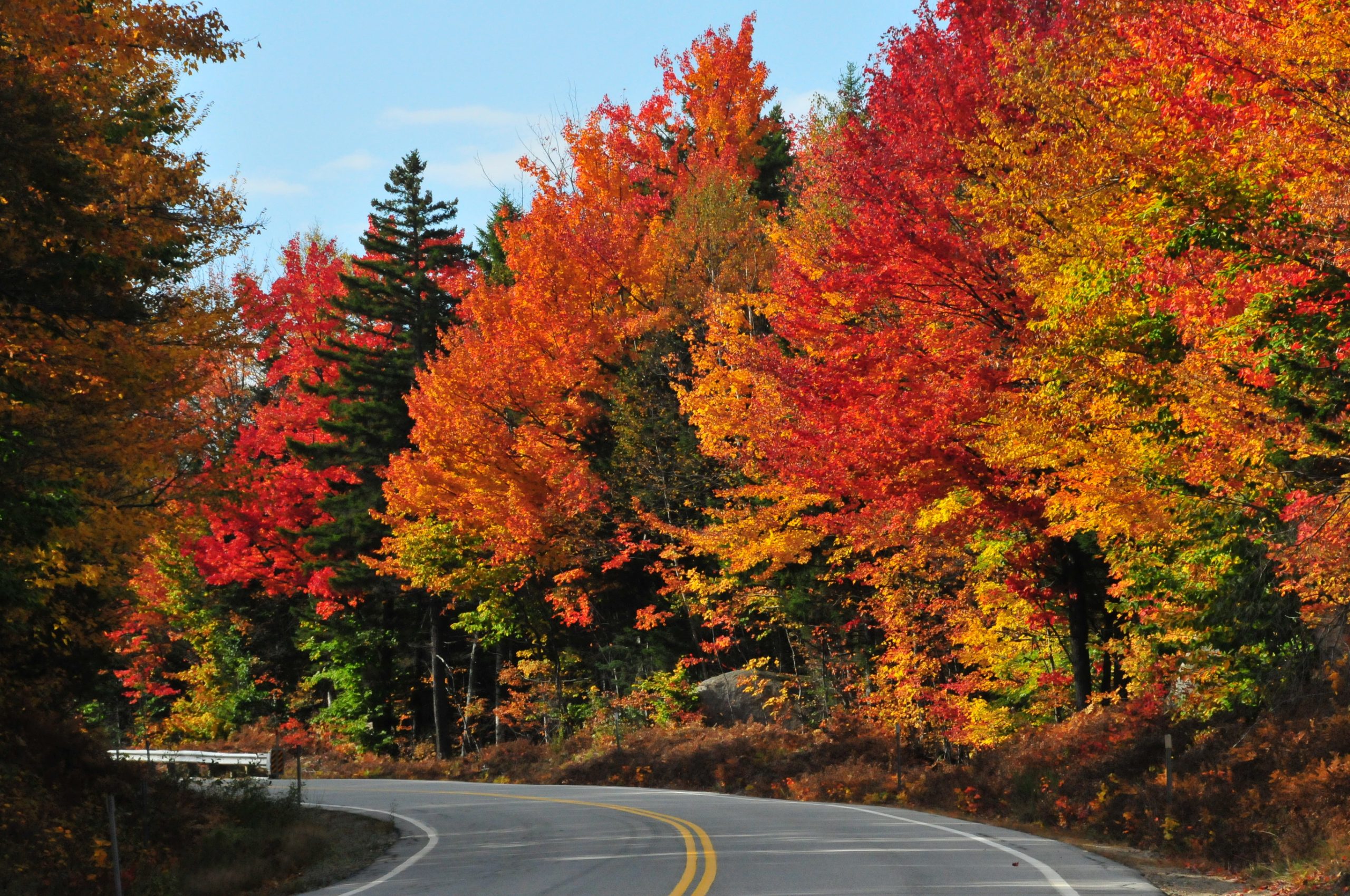 Fall colors on a winding road in North Conway, New Hamphire