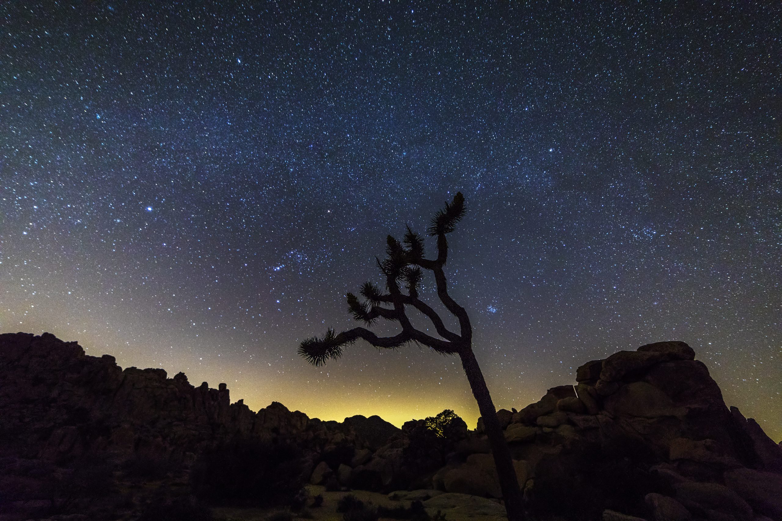 Night Sky Over Joshua Tree National Park, California