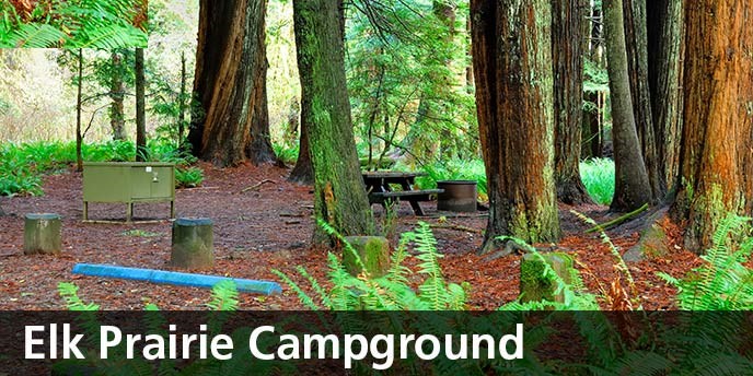 Access lots of hiking and biking trails from your campsite