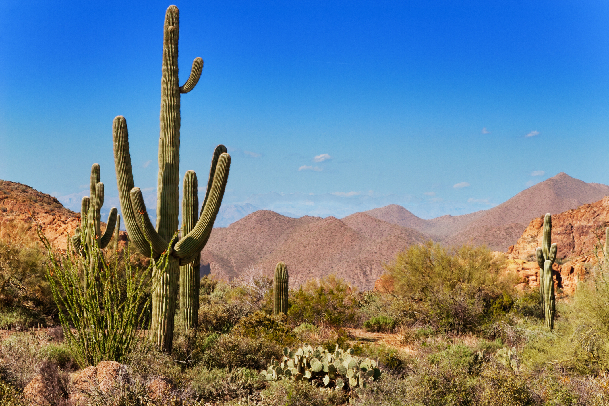 Tonto National Forest, Arizona