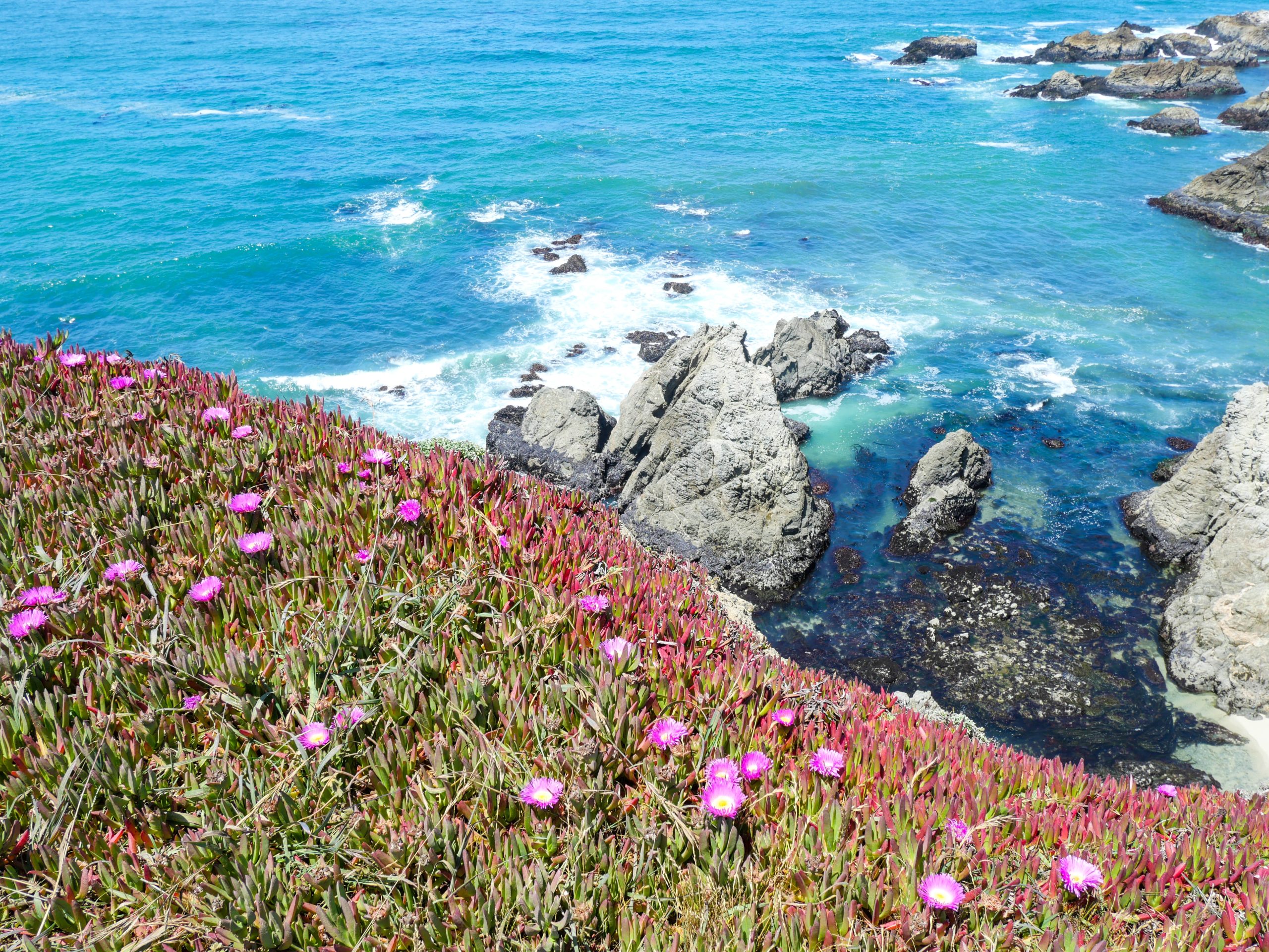 Bodega Bay, California