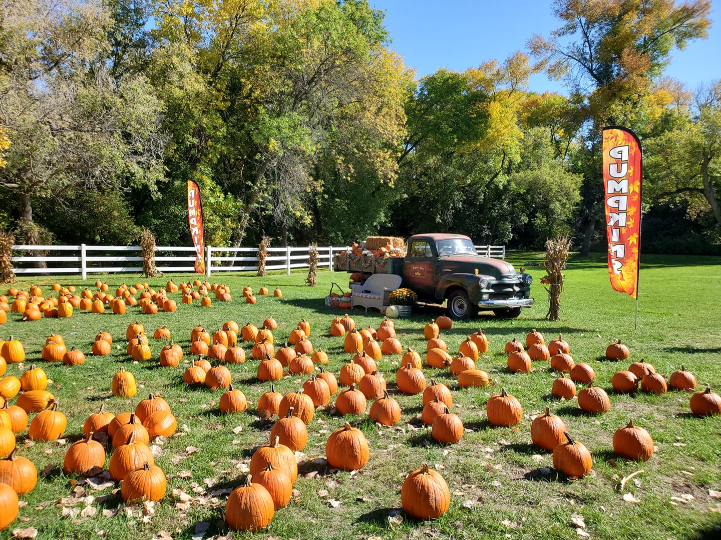 Buffalo River Pumpkin Patch