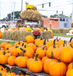 pumpkins lined up on hay bales