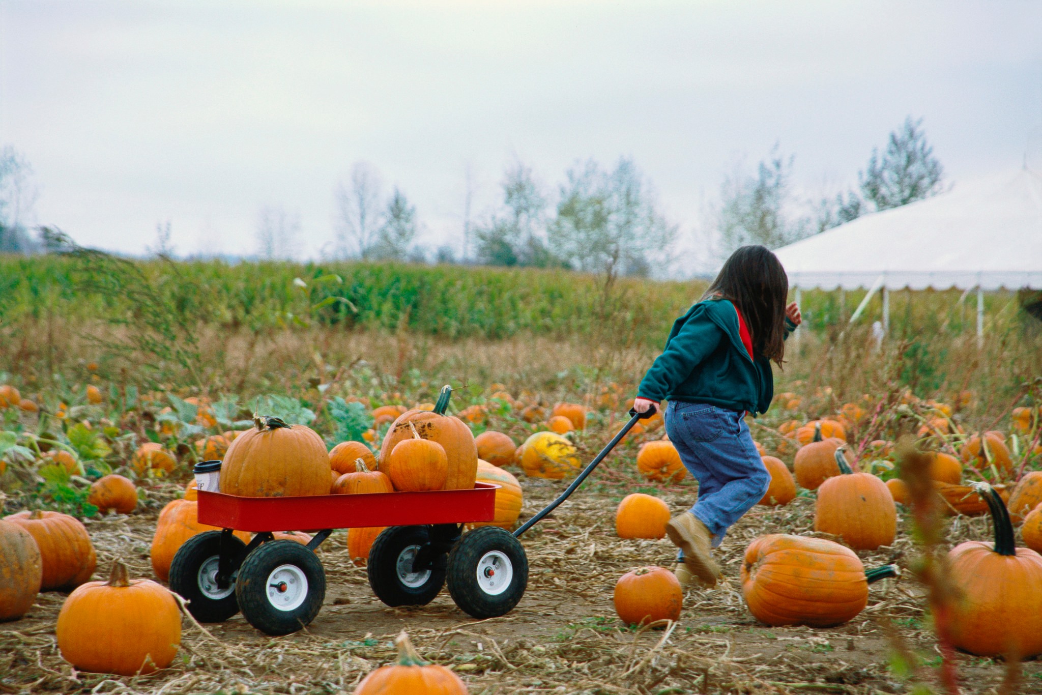 Marietta Farms, Andover, Kansas