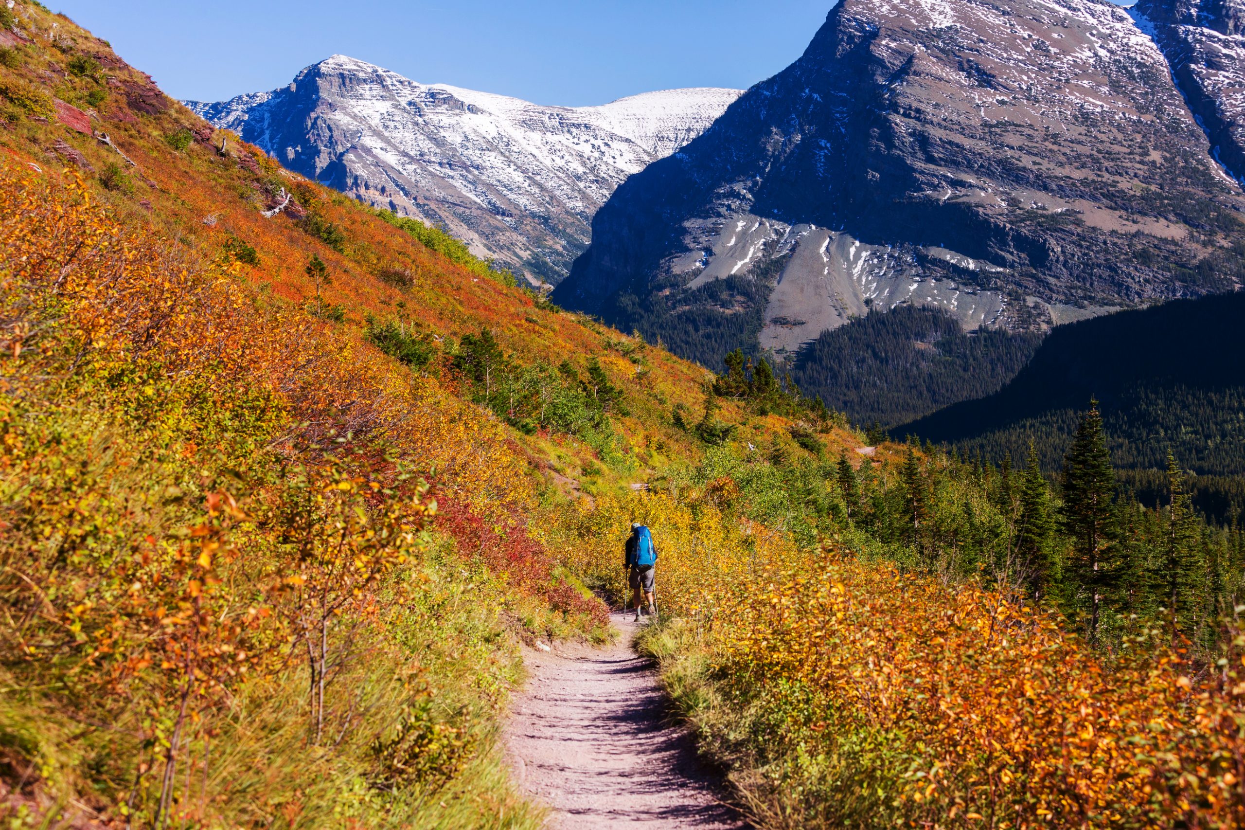 autumn in Glacier National Park