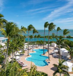 resort pool by the ocean and surrounded by palm trees