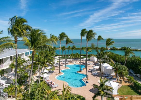 resort pool by the ocean and surrounded by palm trees