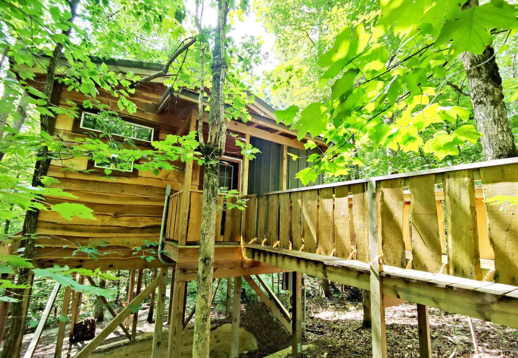 A newly renovated treehouse for your stay