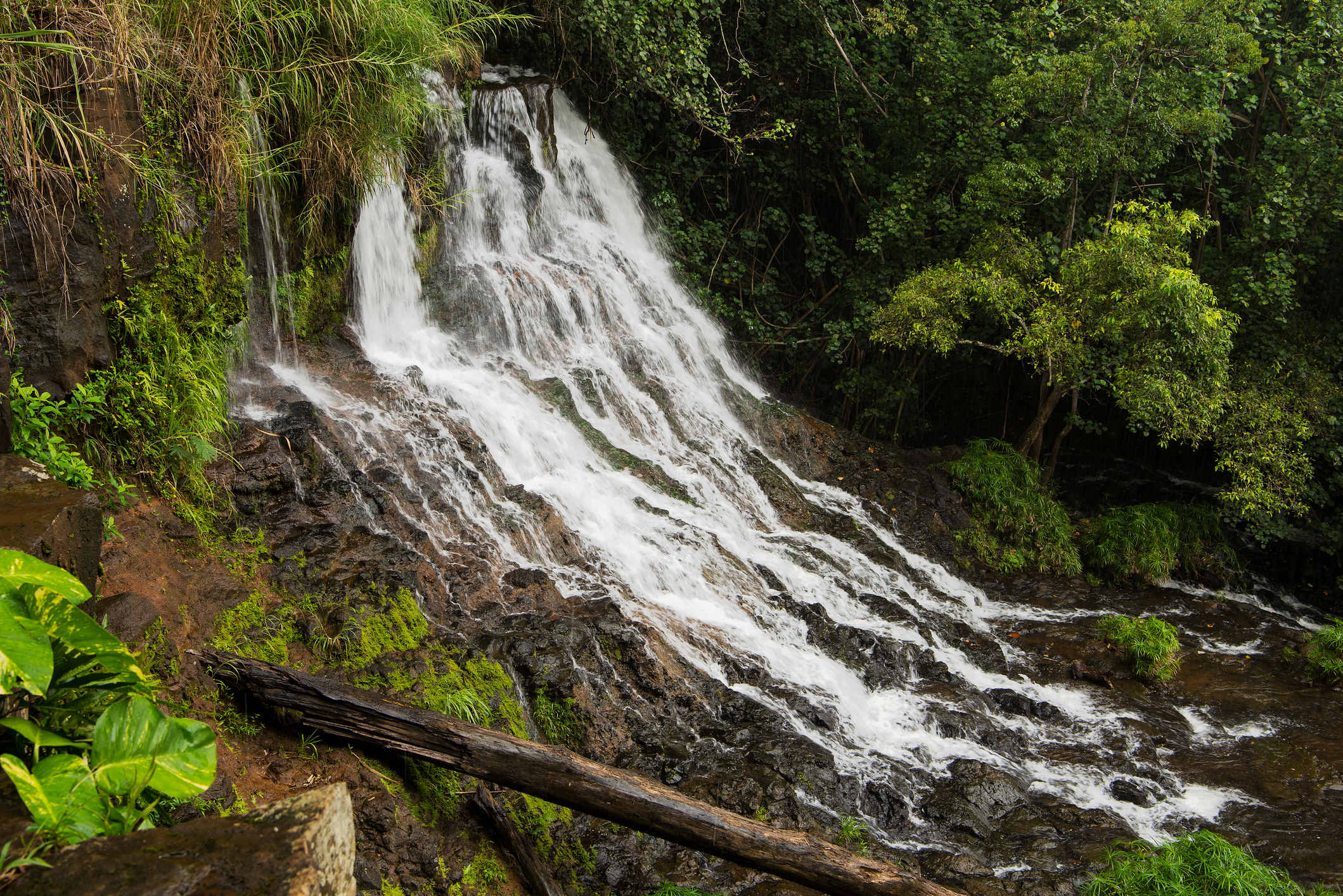 Waterfall seen from Ho’opi’i Falls Trail