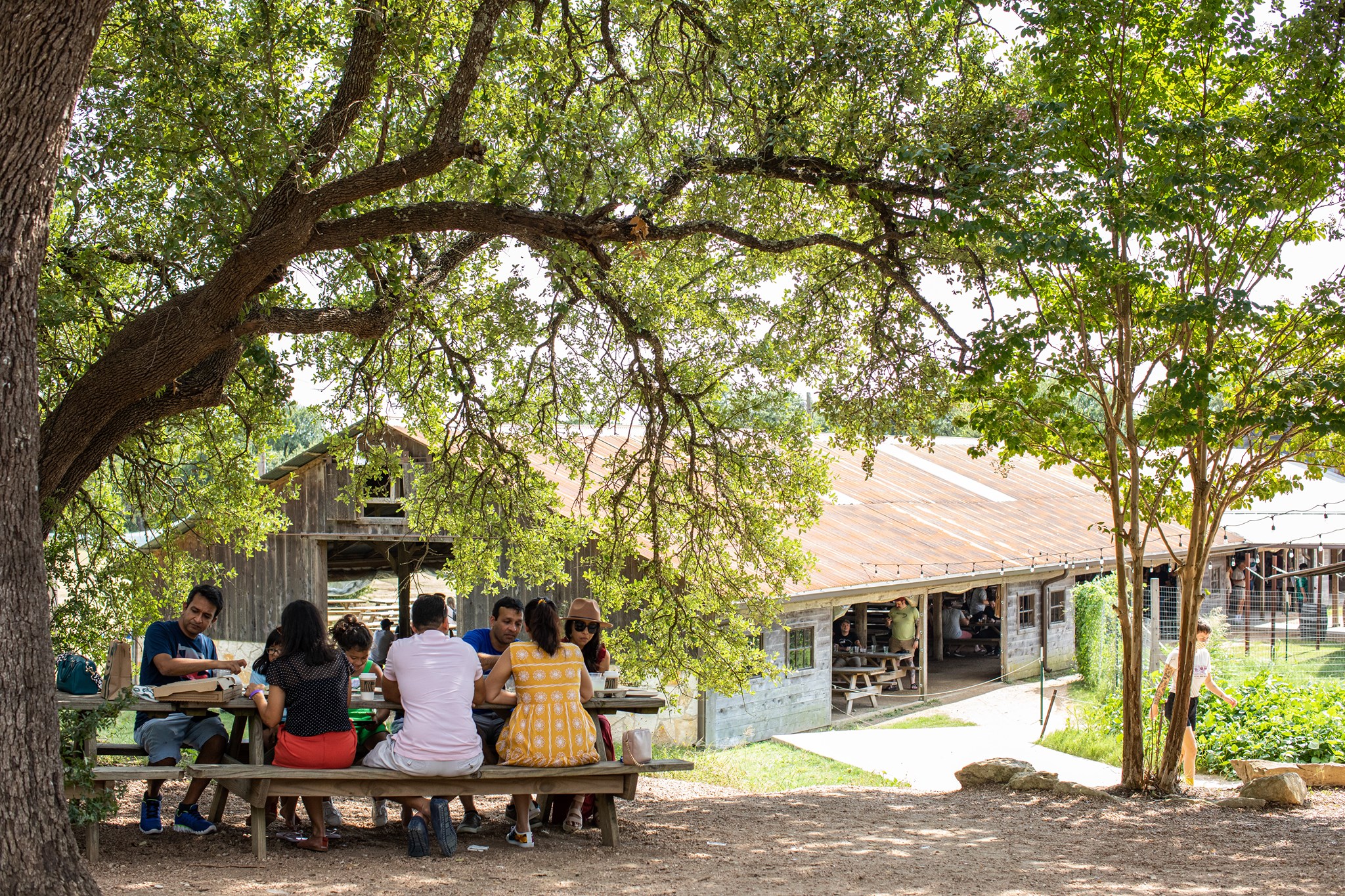 Jester King - Brewery, Kitchen, Farm & Event Hall