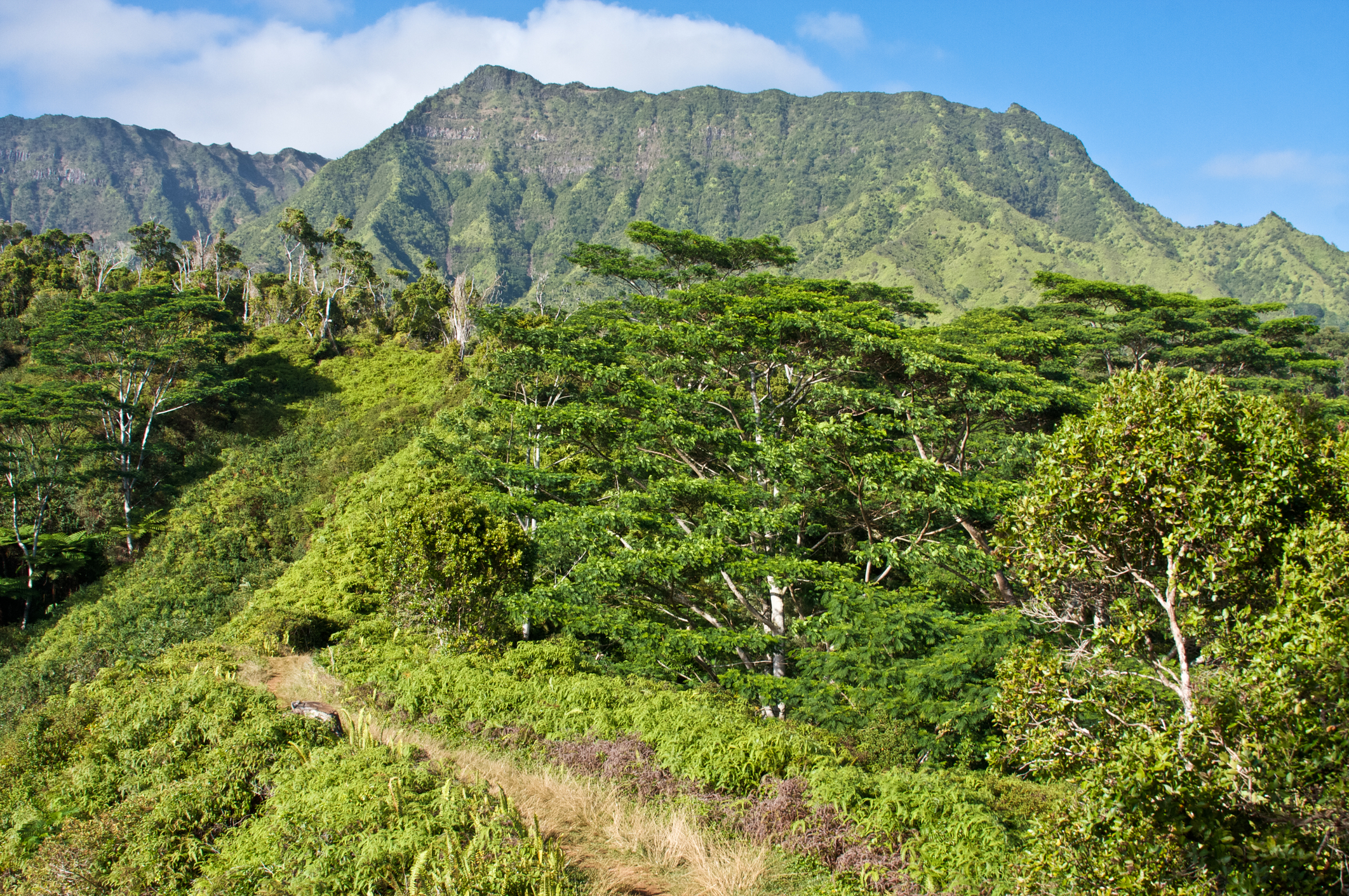 Hiking along the Kuilau Ridge Trail 