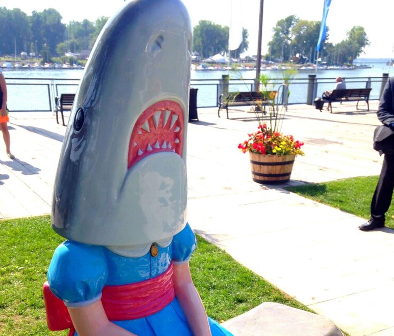 Shark Girl, Buffalo, New York