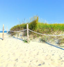 A pathway to the sandy beach