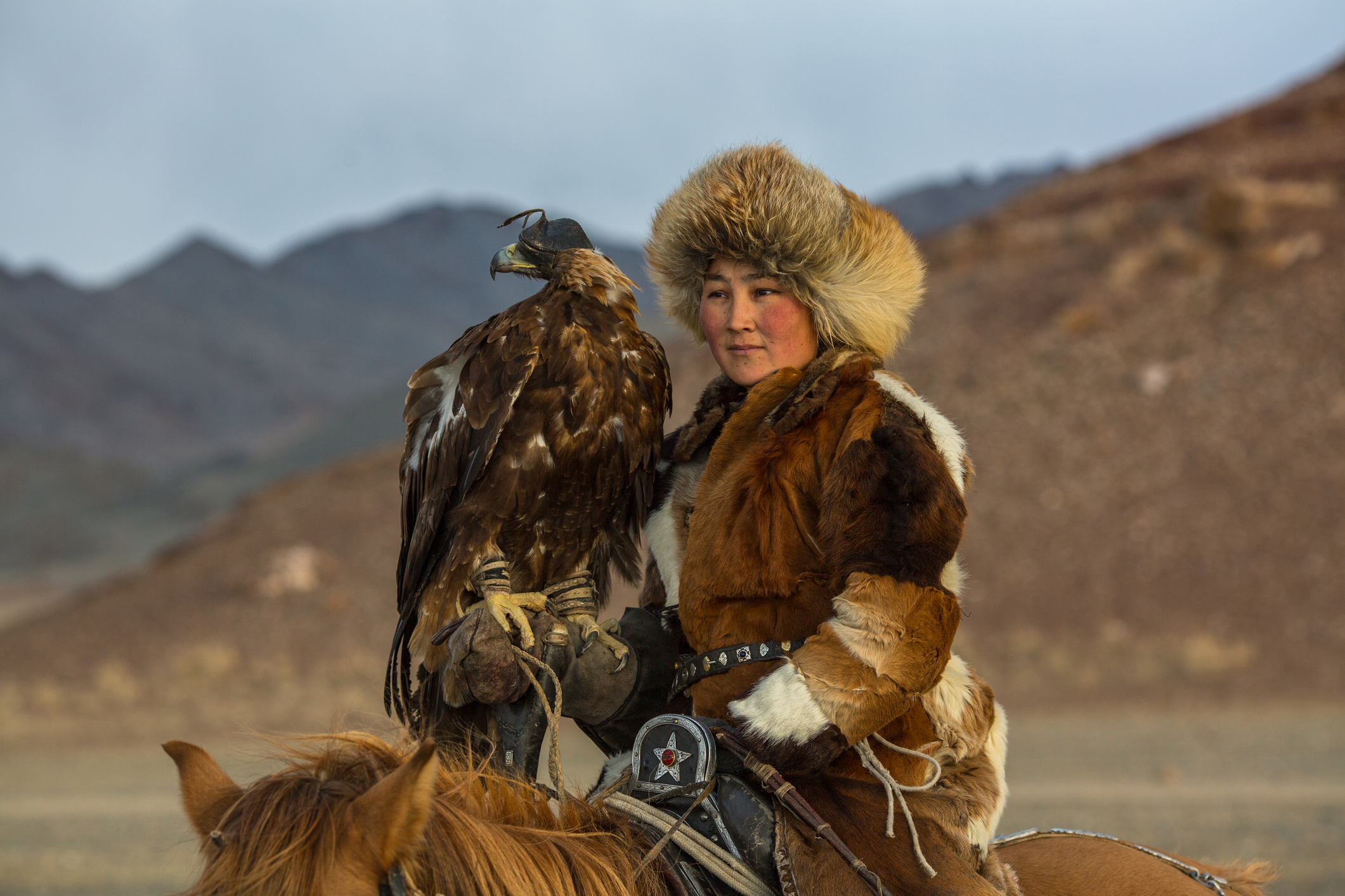 Golden Eagle Hunter in Mongolia