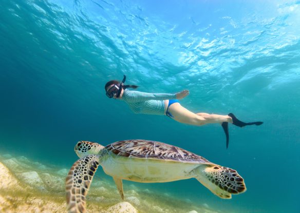 girl snorkeling next to a sea turtle