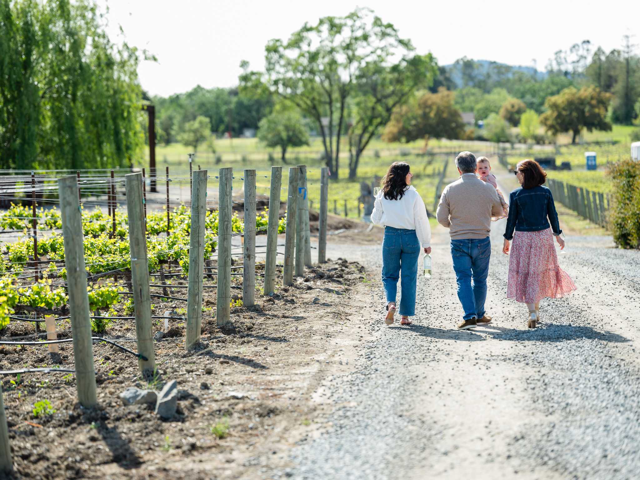 Bricoleur Vineyards