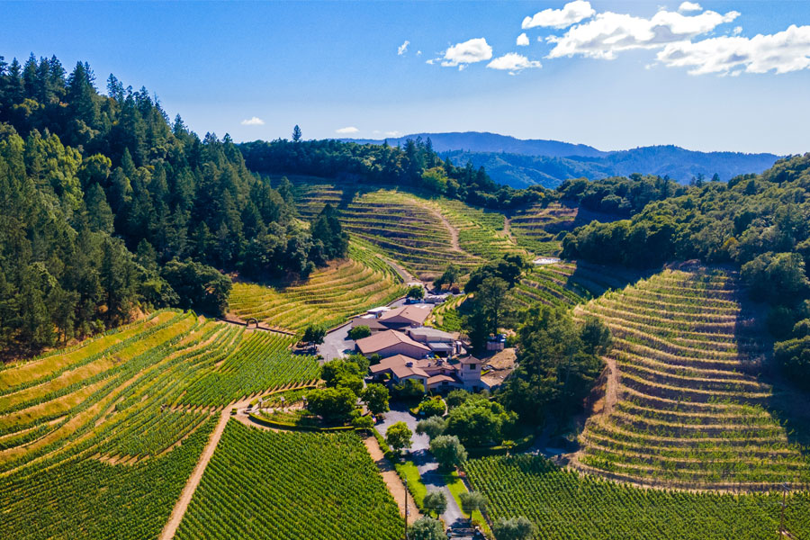 Pine Ridge Vineyards