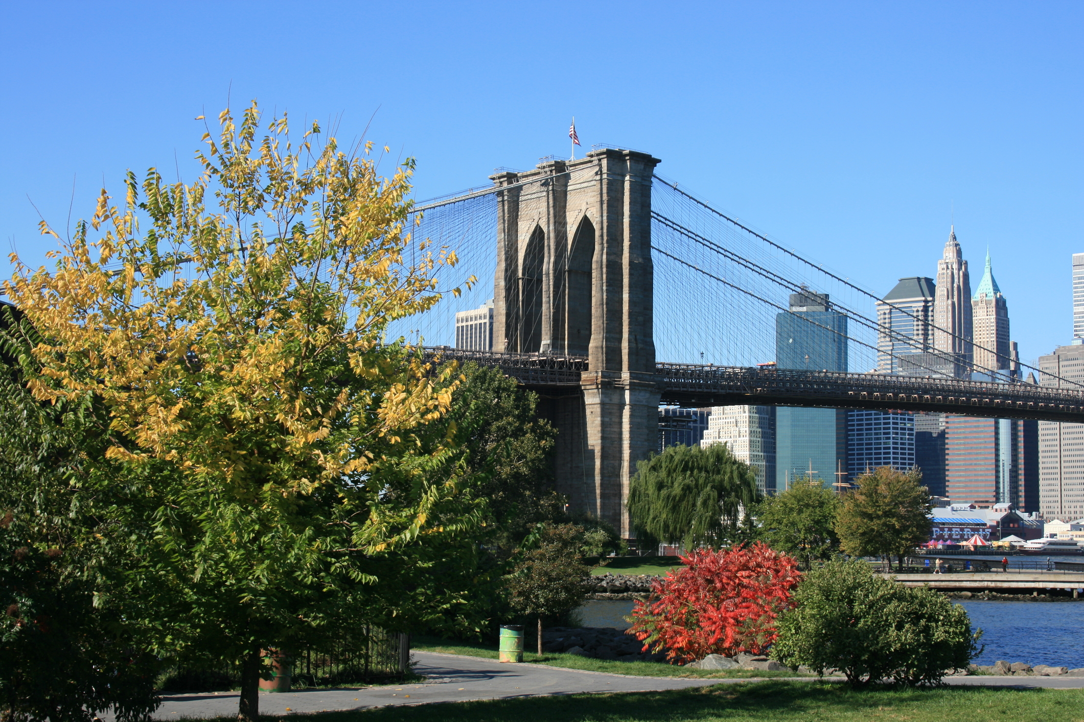 Foliage along the East River with Brooklyn Bridge and Lower Manhattan in the background
