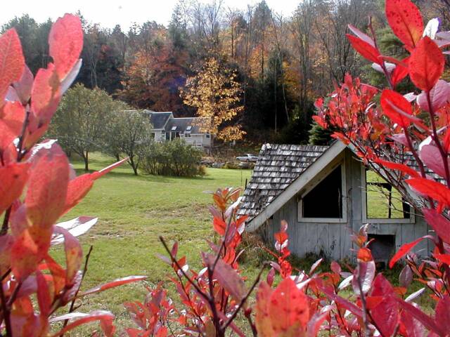 Peak through the leaves for stunning natural beauty