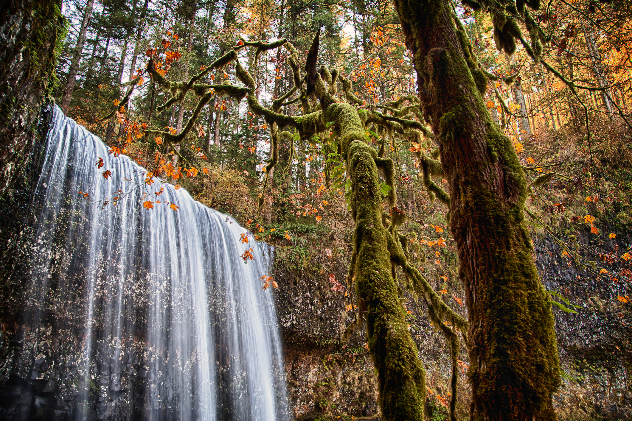 Autumn at Lower South Falls, Silver Falls State Park, Oregon