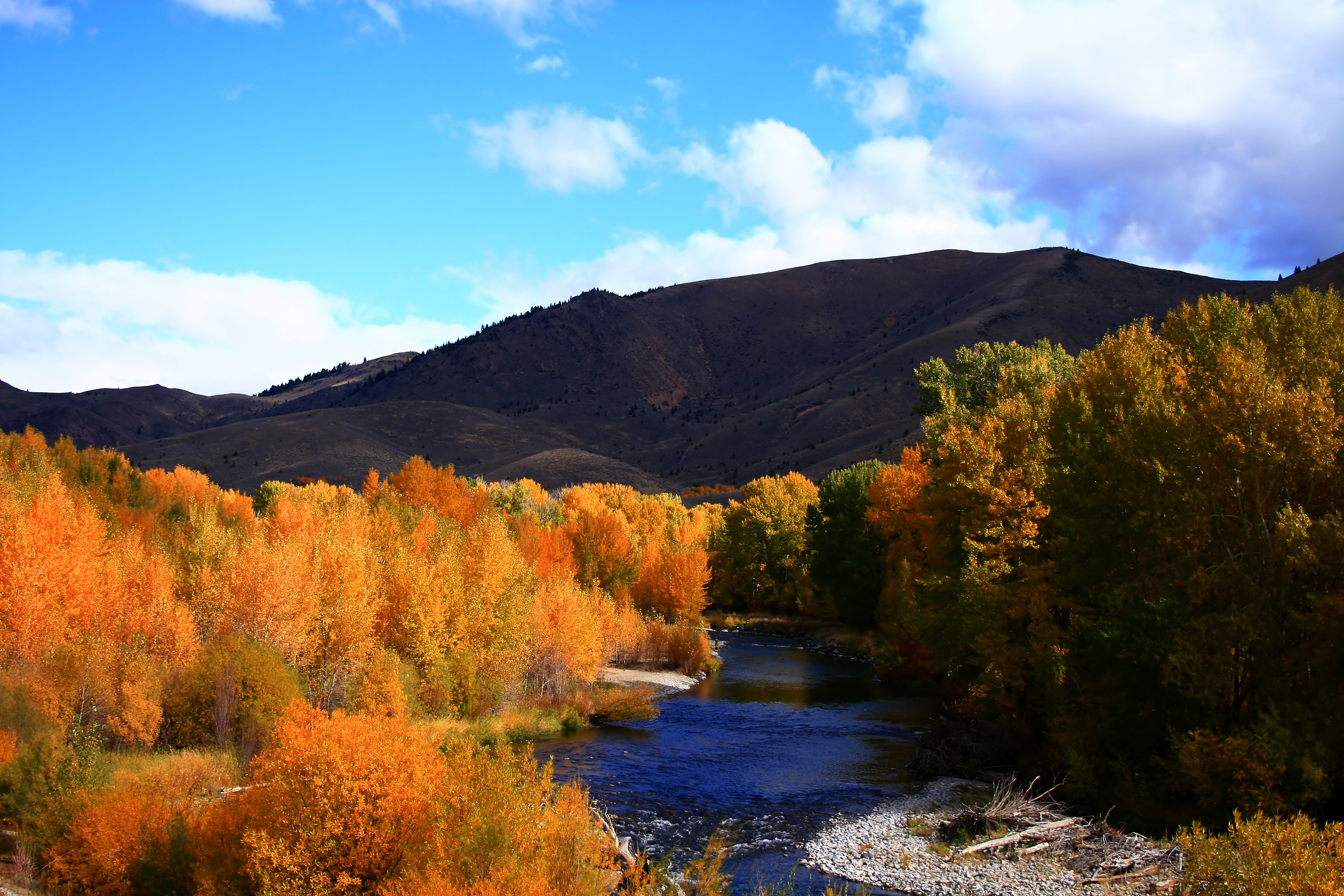 Wood River near Ketchum, Idaho