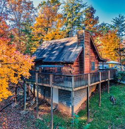 Exterior view of the cabin surrounded by the forest