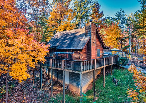 Exterior view of the cabin surrounded by the forest