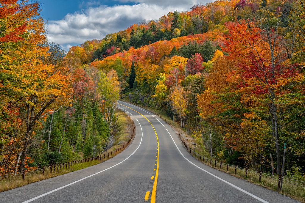 trees with fall foliage along a road near Saranac Lake village