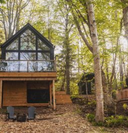 house in the trees with a spa