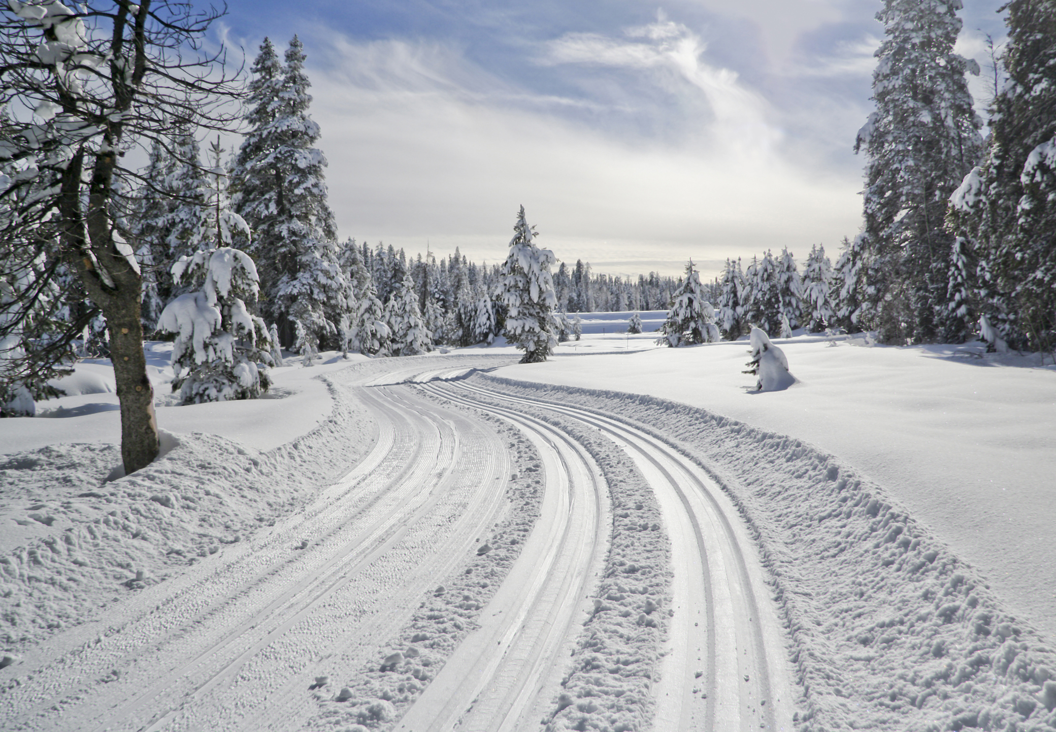 Bear Valley, California