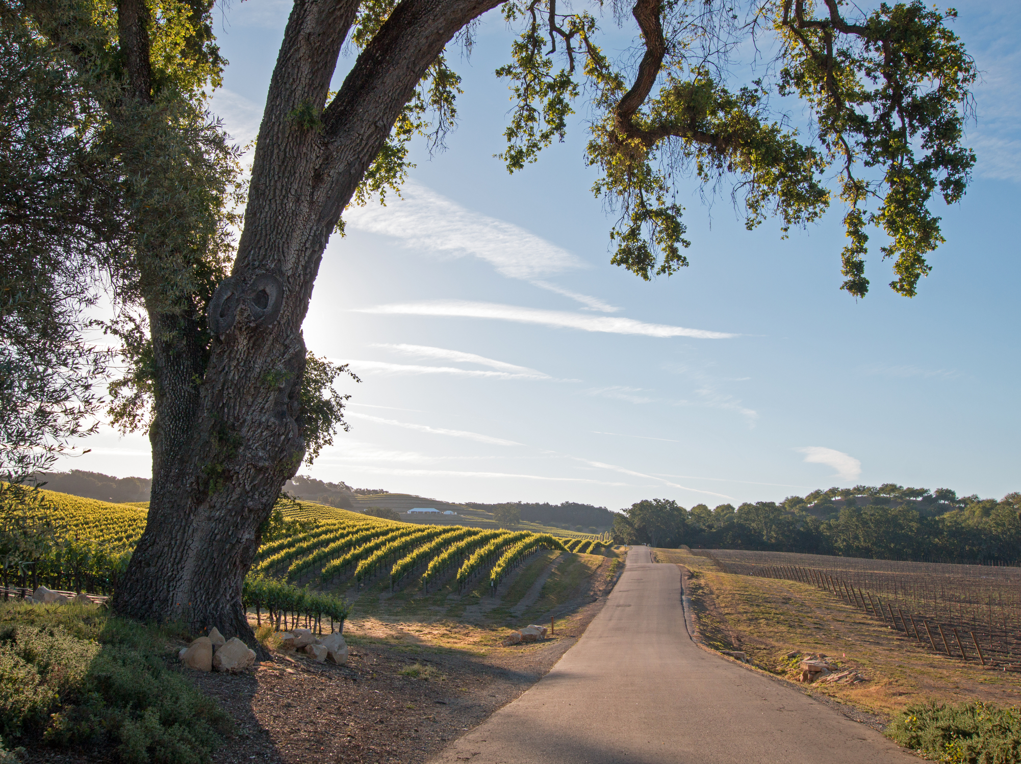 Paso Robles, California