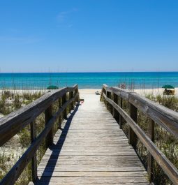 boardwalk to Henderson State Park