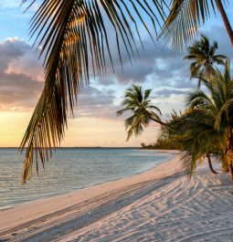 sunset on a white sand beach with palm trees