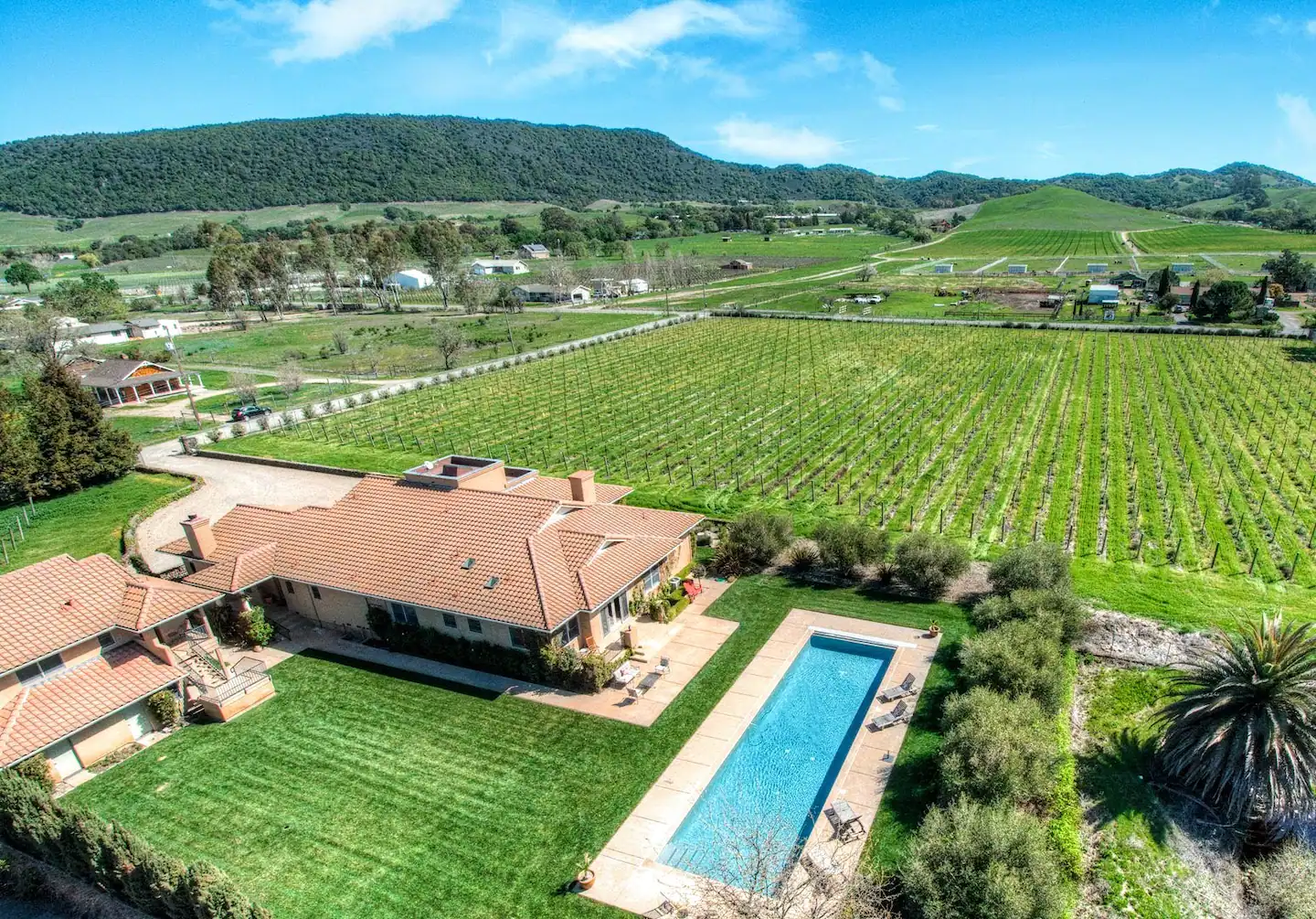 7-Acre Estate with Private Vineyard & Pool