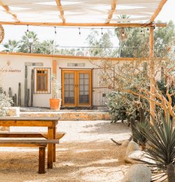 outdoor patio with picnic table and near mexican casita