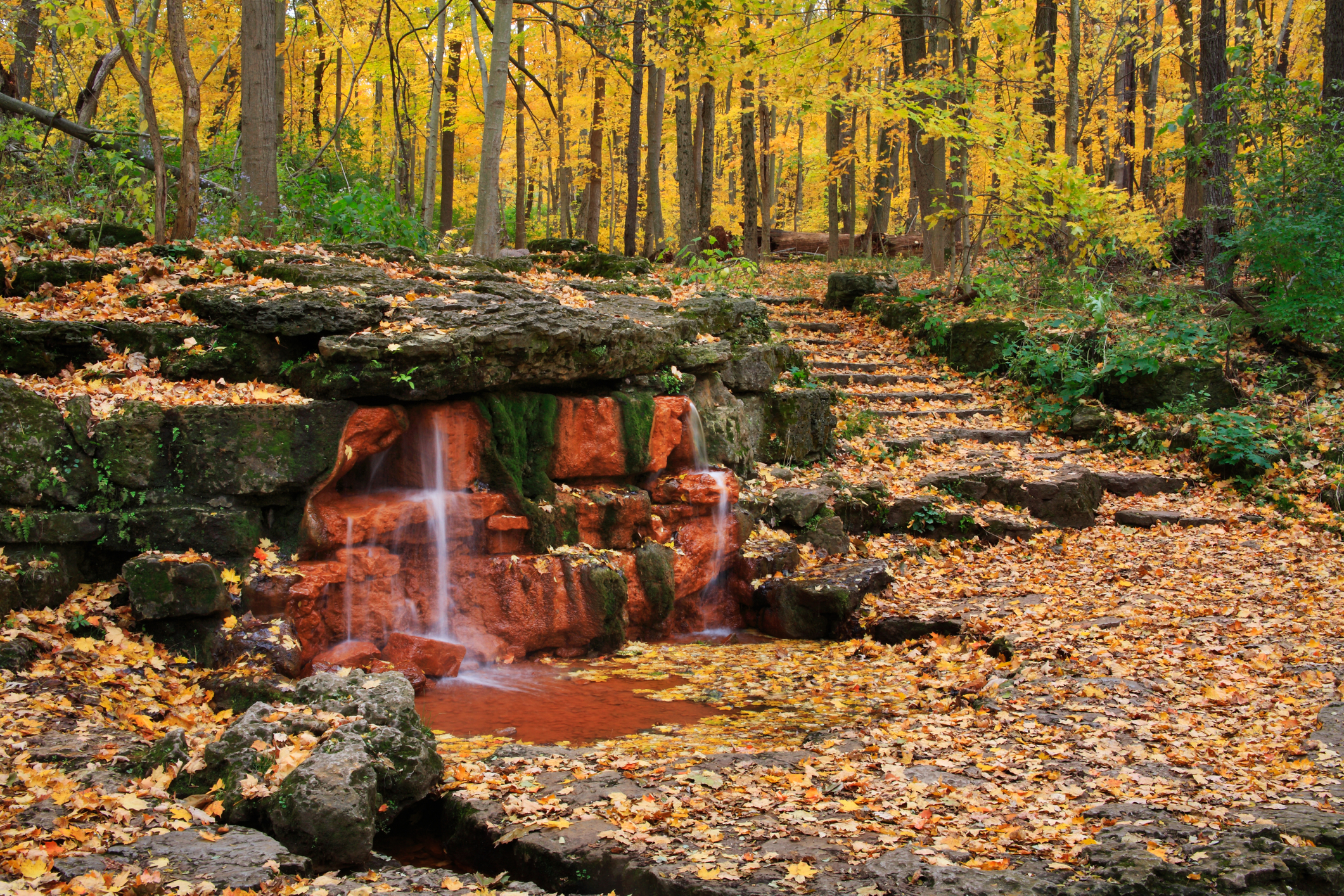 Glen Helen Nature Preserve; Yellow Springs, Ohio