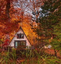 An A-frame cabin in the autumn forest