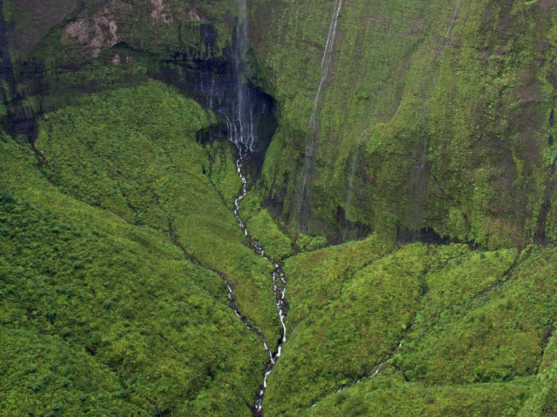 Weeping Wall Falls, Mount Waialeale