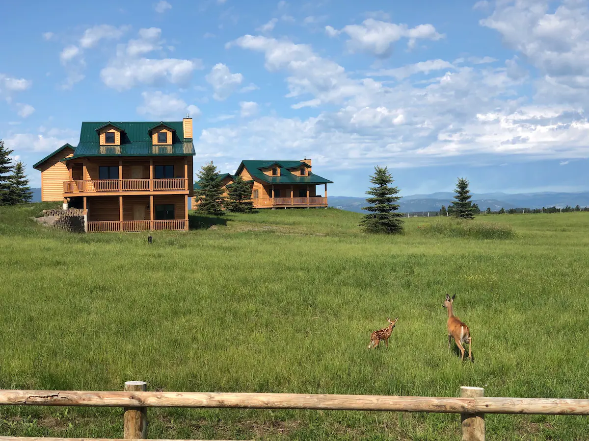 Newer Cabin With Great Views