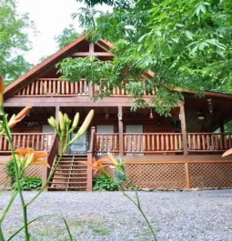 cabin framed by orange flowers with gravel driveway