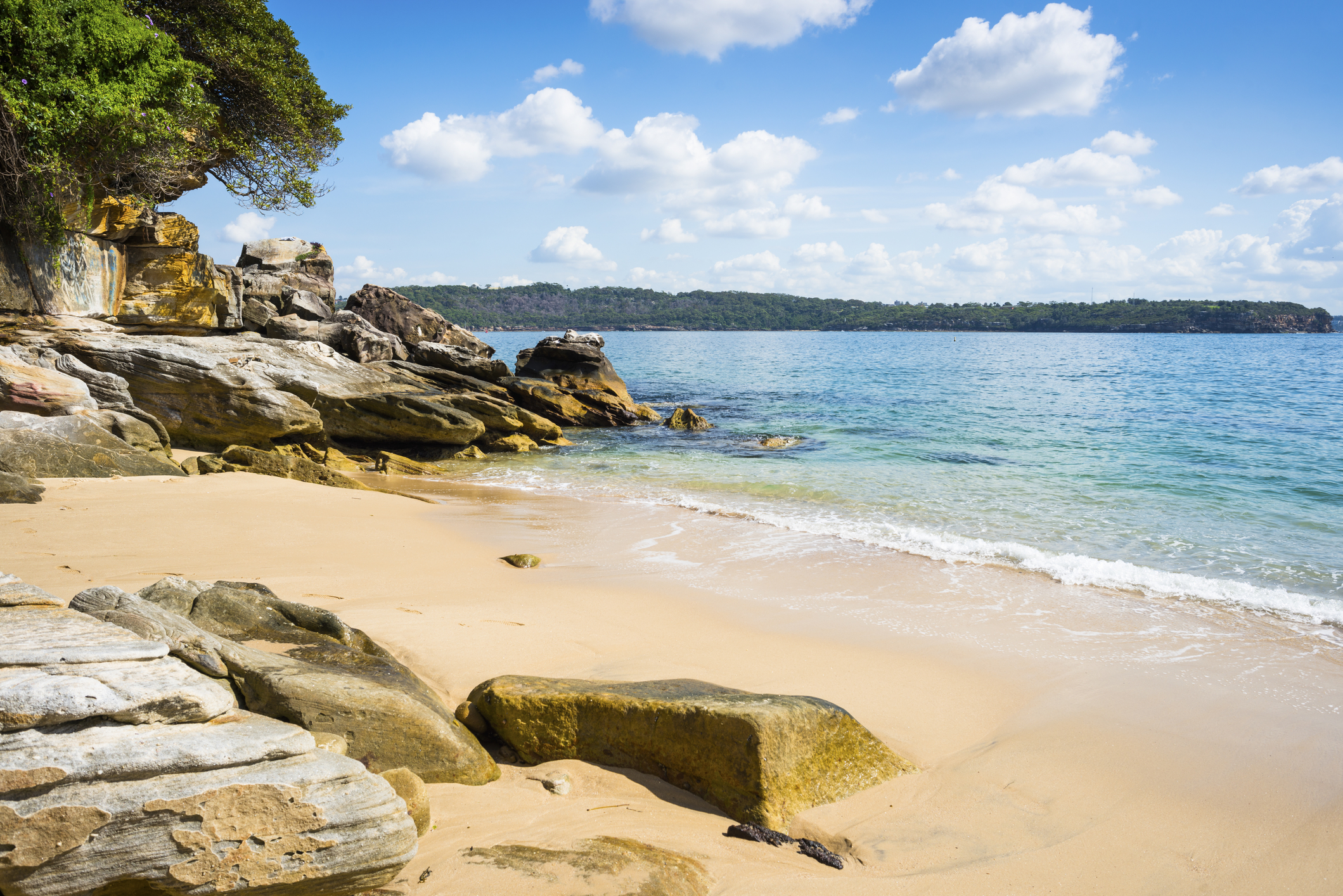 Lady Bay Beach, Watson's Bay, Sydney, Australia