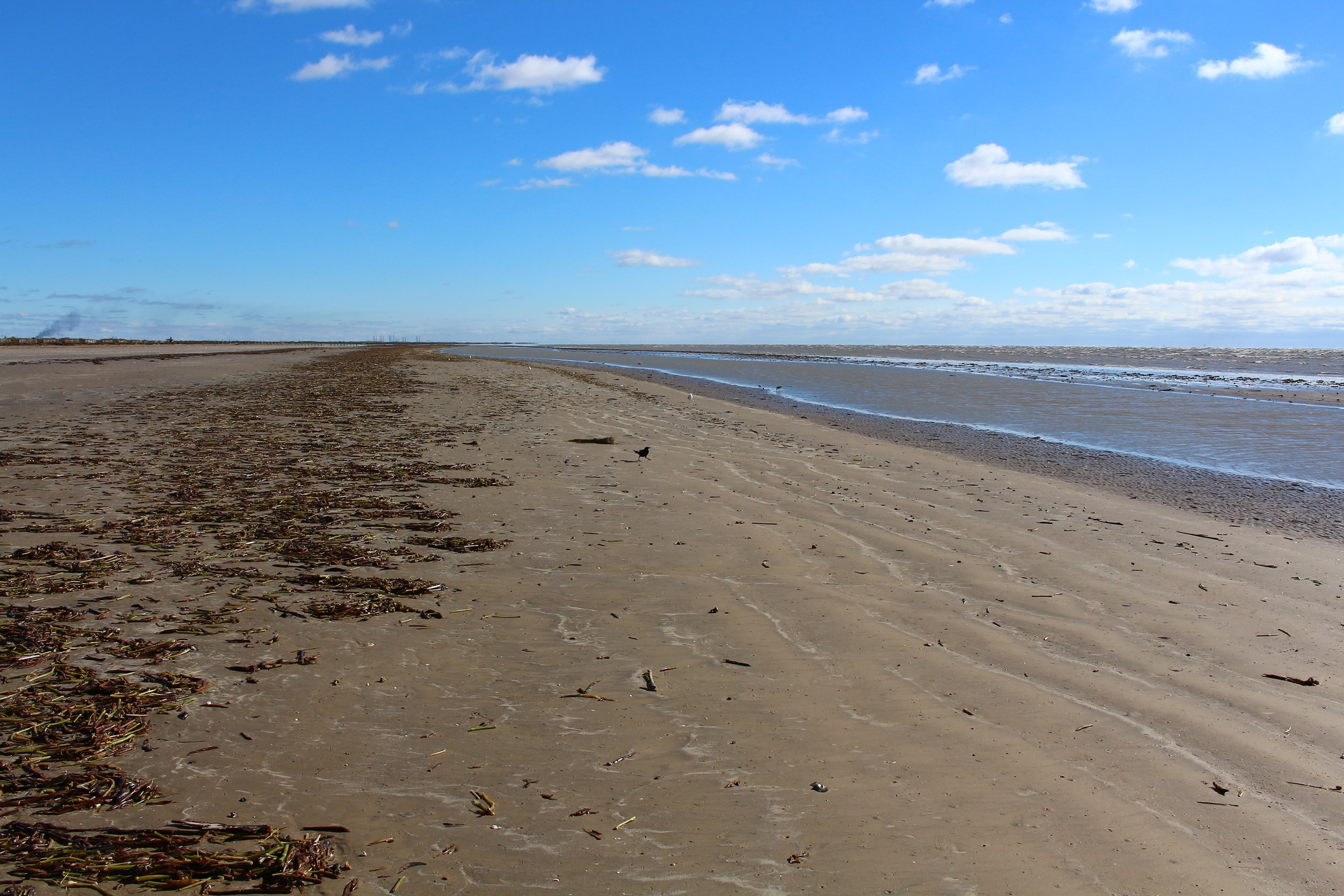 Sea Rim State Park beach