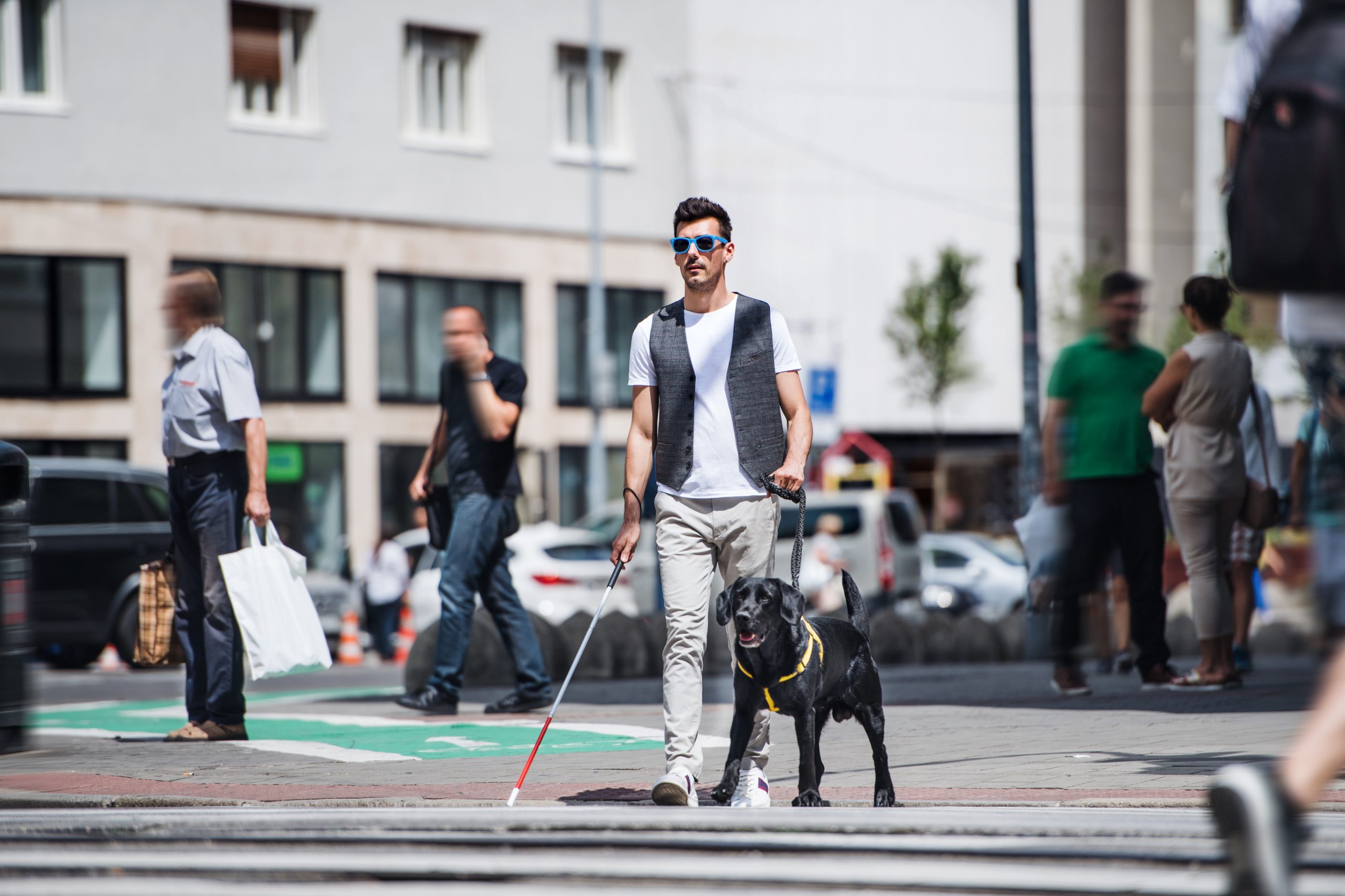 Traveling with Service Dog