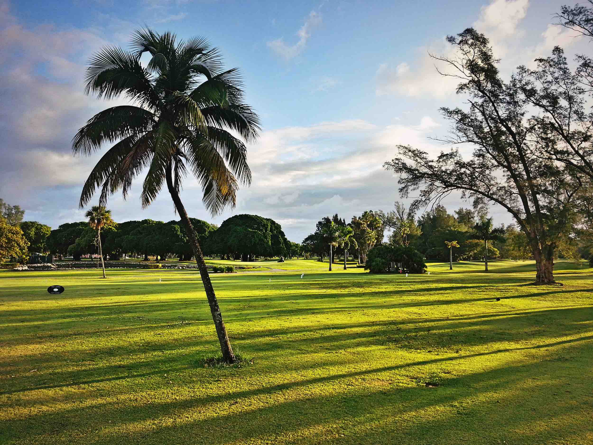 Play a round of golf at Hollywood Beach Golf Club