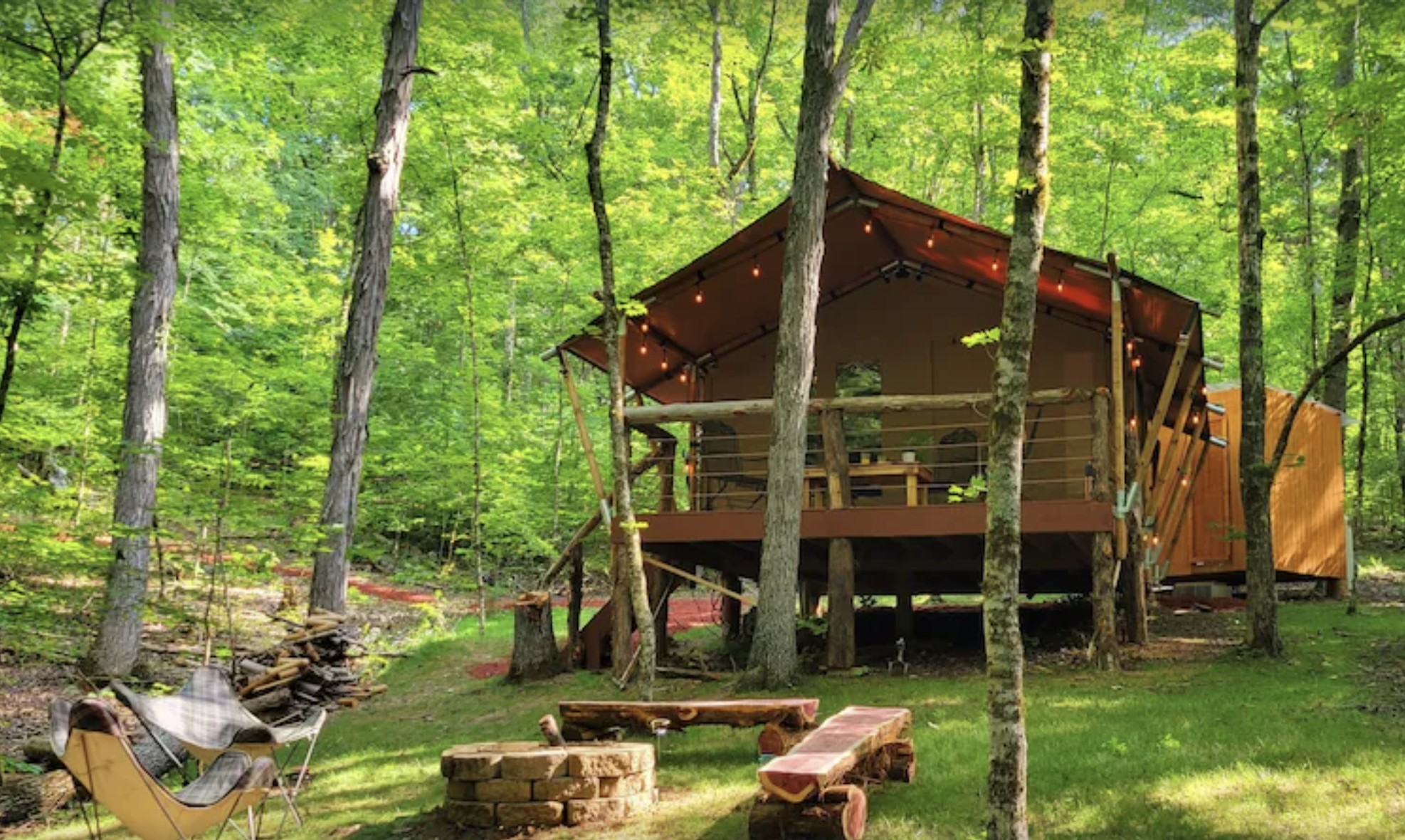 A unique experience living in a tree-tent