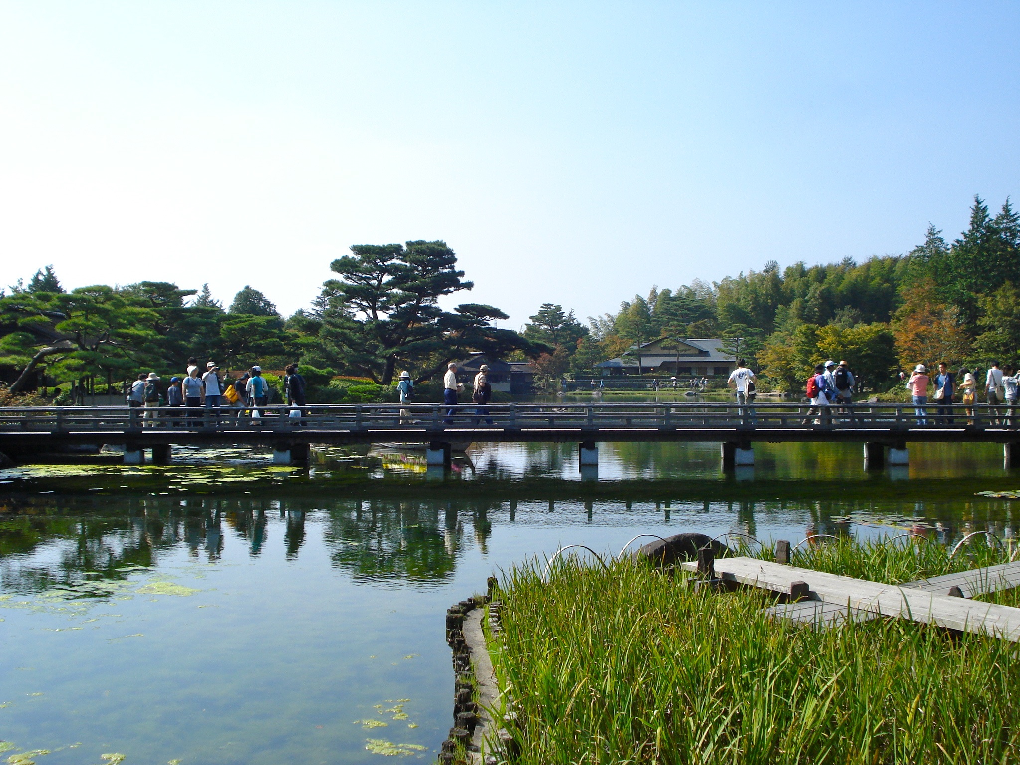 Showa Memorial Park