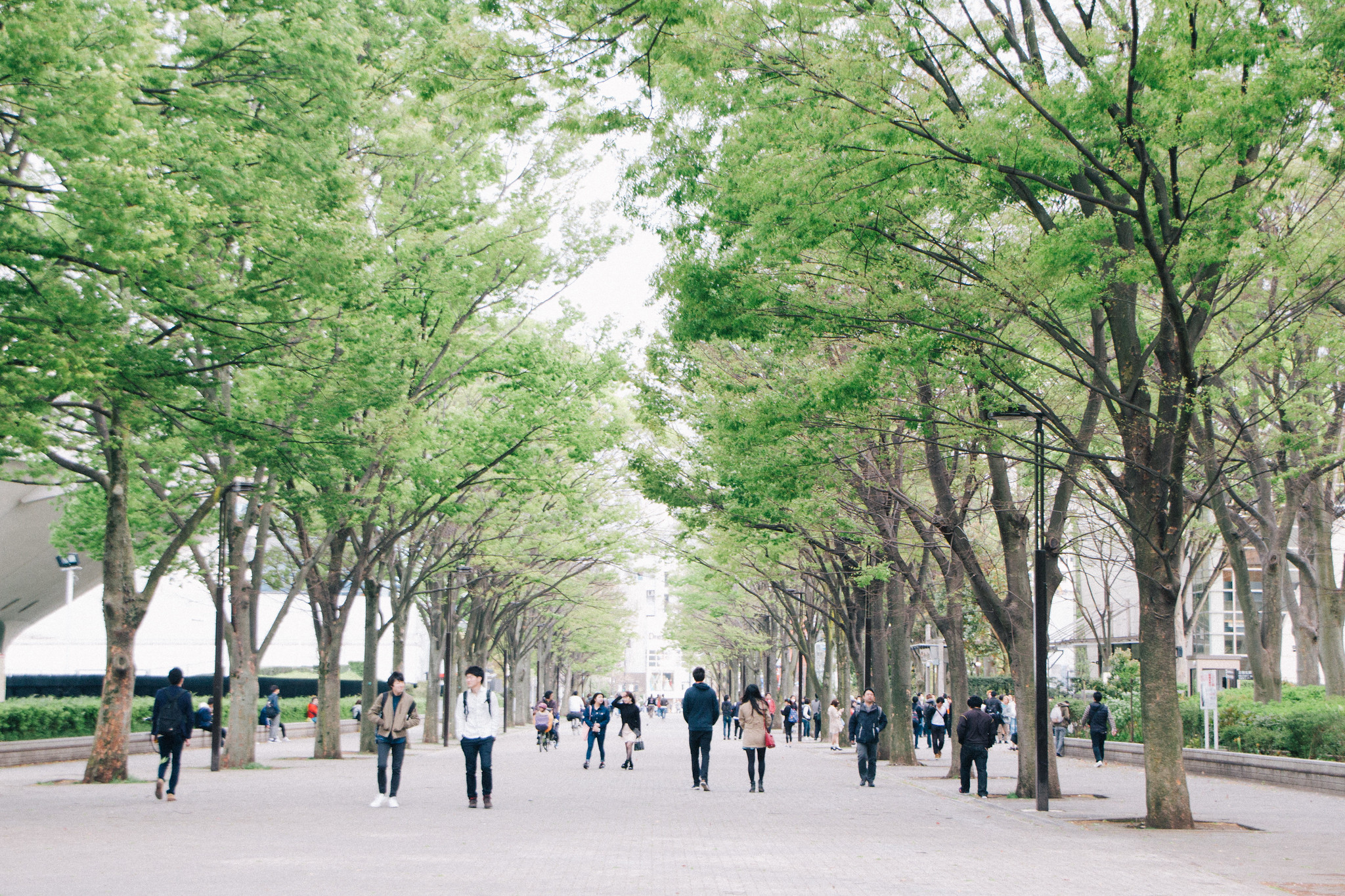 Yoyogi Park