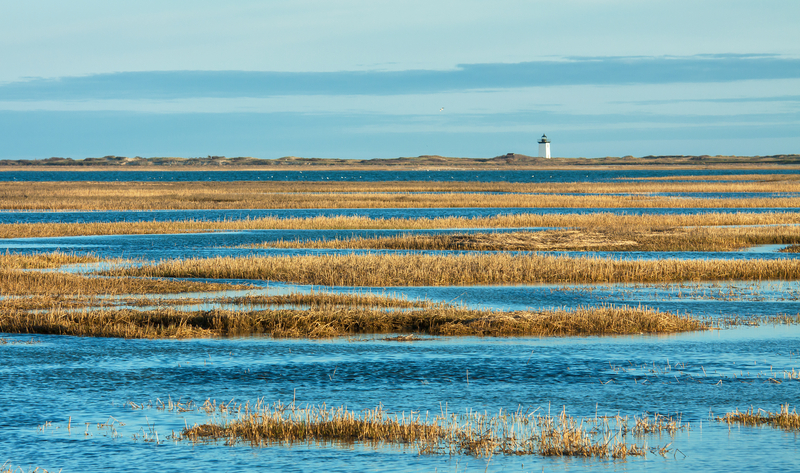 The Cape Cod Road Trip